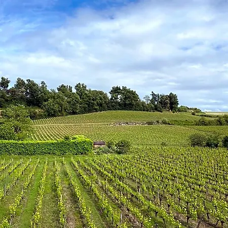 Clos Labellie - Et D'hotes A Saint-emilion Lugaignac